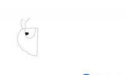 蝗虫简笔画怎么画