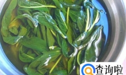 芝麻叶的几种做法