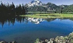 纽瓦克湖为什么是双层湖