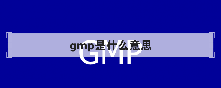 gmp是什么意思