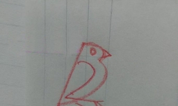 如何利用数字画小鸟