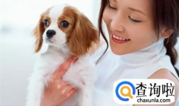 小狗半夜嚎叫怎么办？