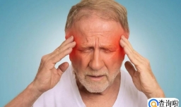 不吃主食或造成大脑功能衰退吗