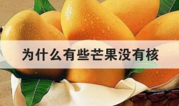 为什么有些芒果没有核
