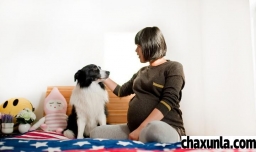 有孕妇能不能养宠物