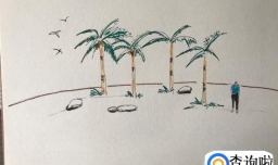 如何绘制椰子树速写？