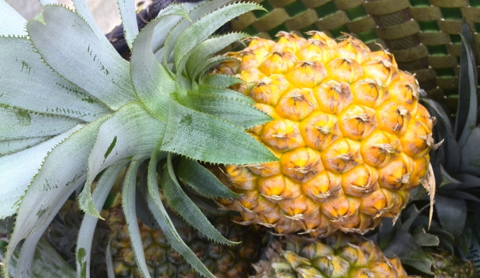 菠萝的营养价值