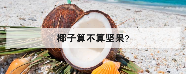 椰子算不算坚果