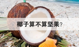 椰子算不算坚果