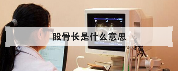 股骨长是什么意思