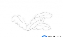 简笔画蒲公英花