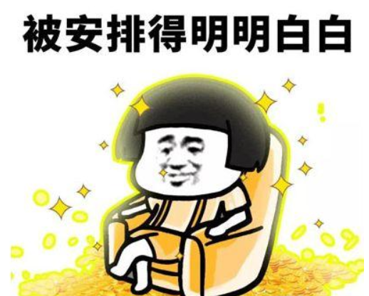 网络用语安排是什么意思