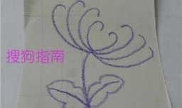 漂亮菊花的简单画法