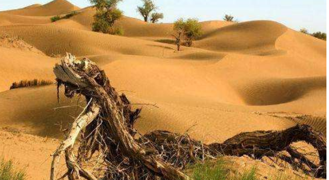 中国最大的沙漠