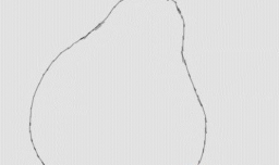 【绿爷】教你简笔画