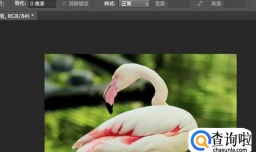 ps怎么取消选区