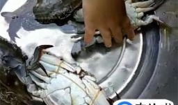 正宗蟹煲的做法