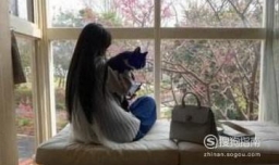 怎样抱猫咪最舒服