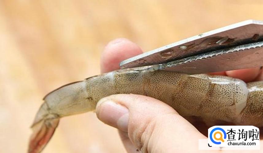 怎么挑选新鲜的虾