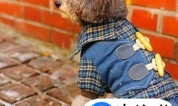 牛仔裤怎么废物利用