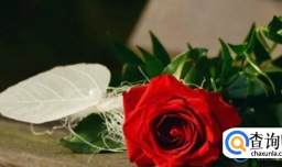 情人节有几个 情人节是几月几号