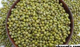 夏至养生吃什么合适