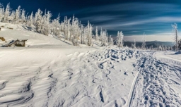 交九是哪一天？