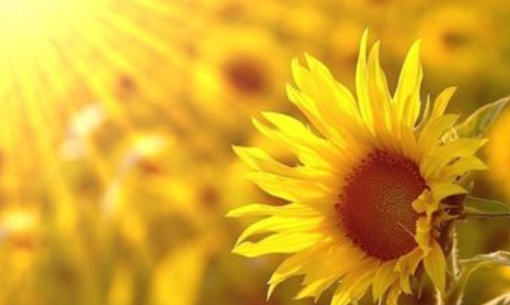 耐人寻味的意思是什么