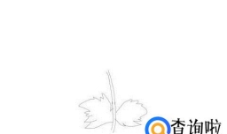 重阳节菊花的简笔画法