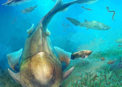 地球上的生物种类超过多少万种