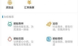 如何使用支付宝拍证件照