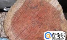 实木家具有什么弊端？