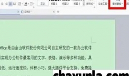 wps如何查找指定内容