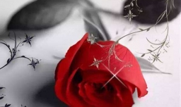 如何正确理解爱与喜欢？