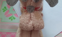 毛巾怎样（简单的)叠小狗