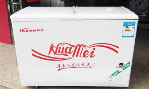 冰柜排行榜前十名家用
