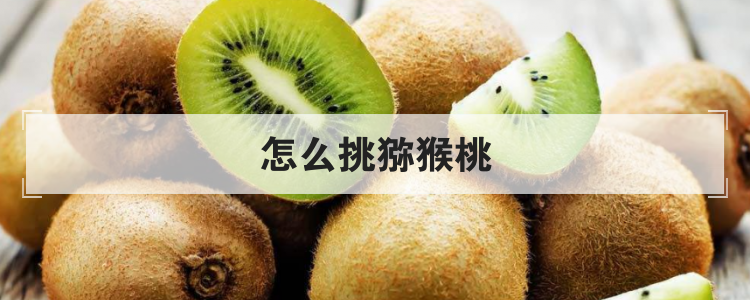 怎么挑猕猴桃