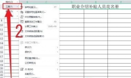 WPS office如何设置数字以文本形式储存