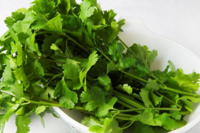 香菜对肠胃有什么作用