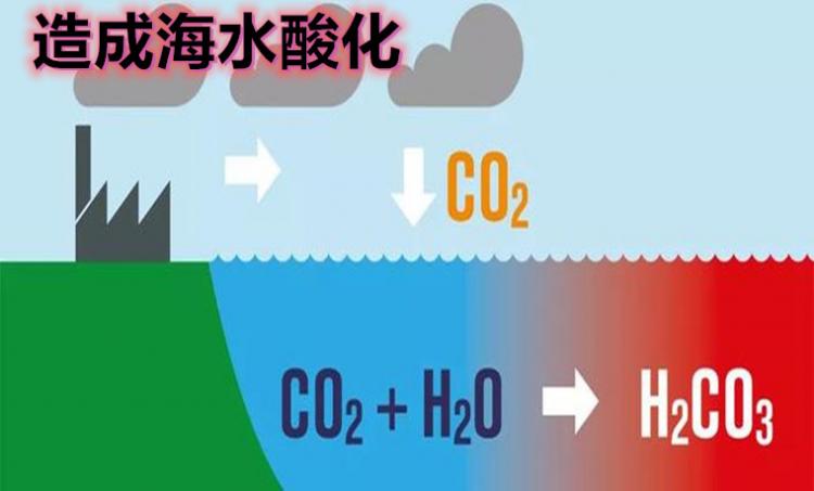 二氧化碳的危害有哪些