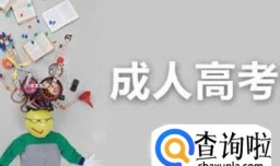 成人高考是什么意思