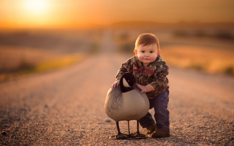 陈姓男孩简单好听的名字