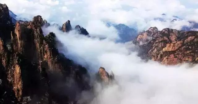 一山有四季的形成原因是