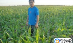 如果你不想在大城市混了还能怎么办？