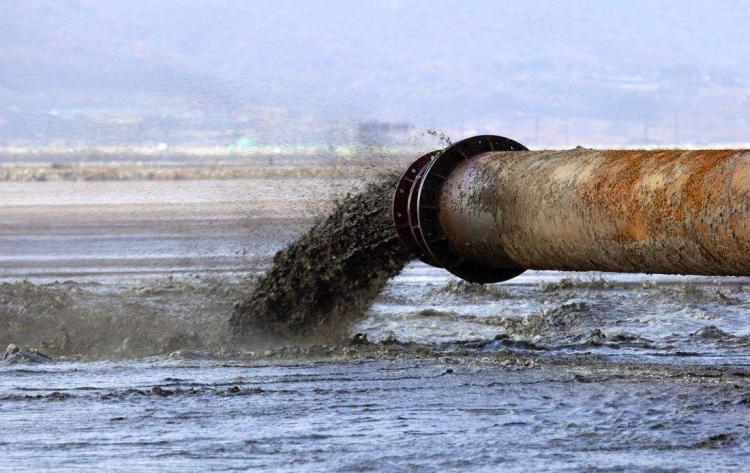 环境污染的毒作用