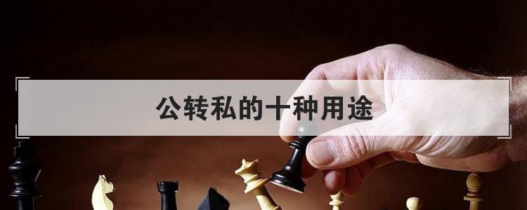 公转私的十种用途