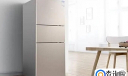 网购冰箱不静置的后果有哪些