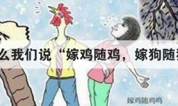 为什么我们说嫁鸡随鸡 嫁狗随狗