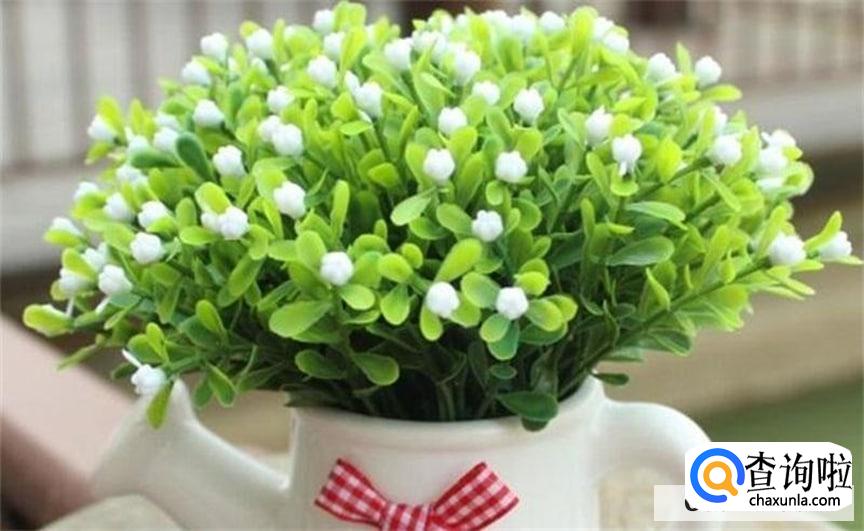 米兰花怎么养才长得比较好