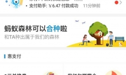 新版支付宝如何设置不显示真实姓名